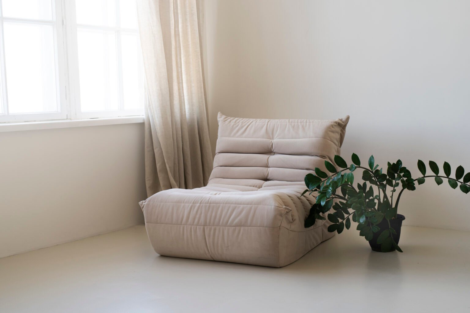 Contemporary interior furniture with green plants and decorative details