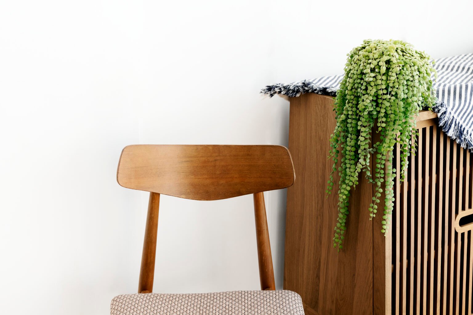 Trailing plant on a wooden cupboard in a softly lit interior
