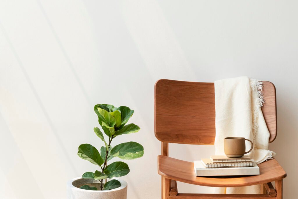 Classic wooden chair beside a fiddle-leaf fig plant